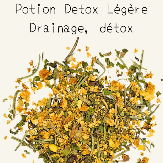 Potion Detox Légère - Elimination et Drainage